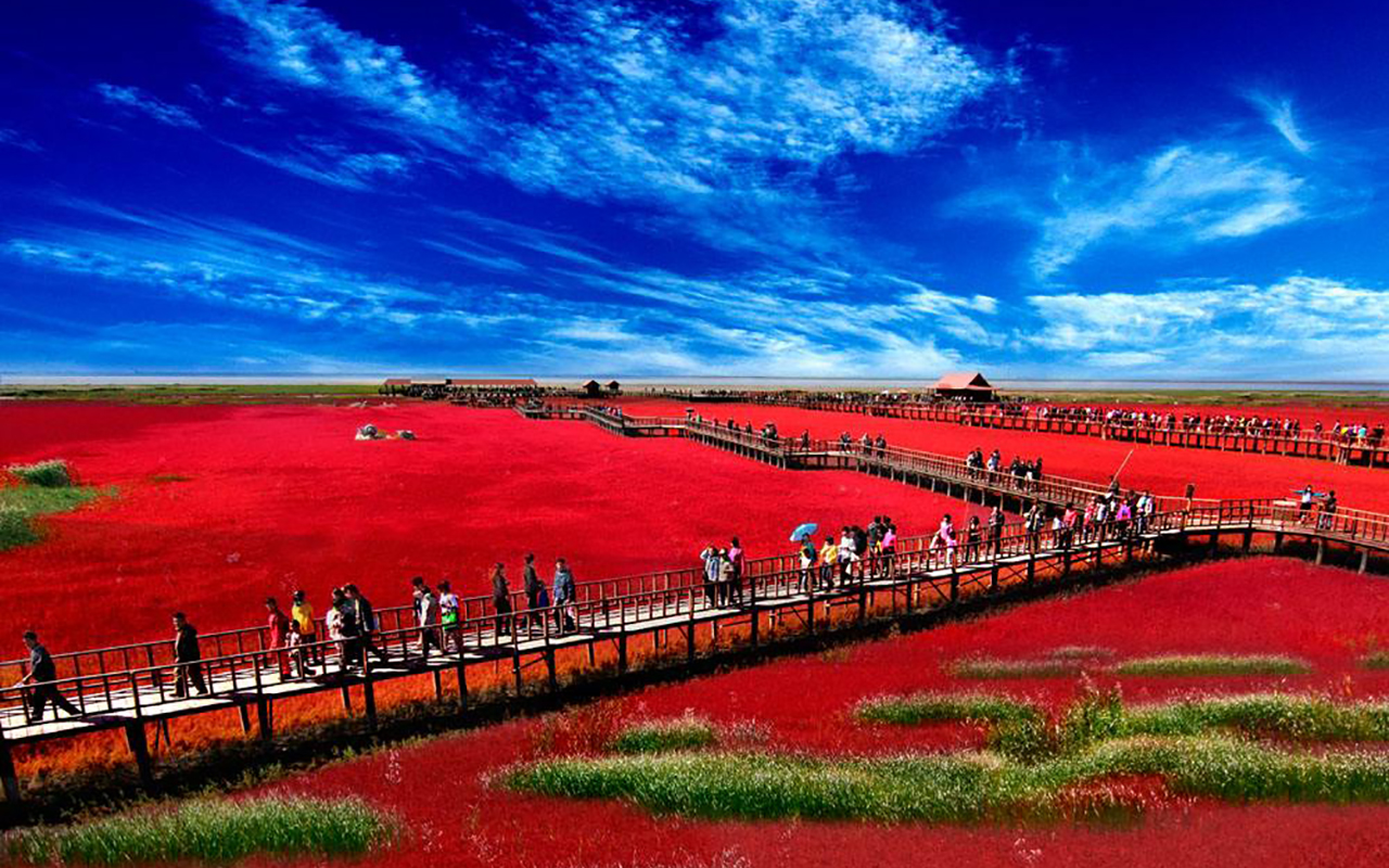 Extraordinary flaming landscape of China's Red Seabeach seashore ...
