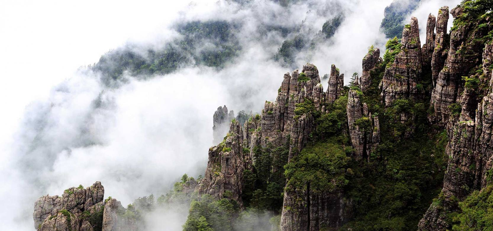 中国十大最美森林公园——神农架国家森林公园-搜狐大视野-搜狐新闻