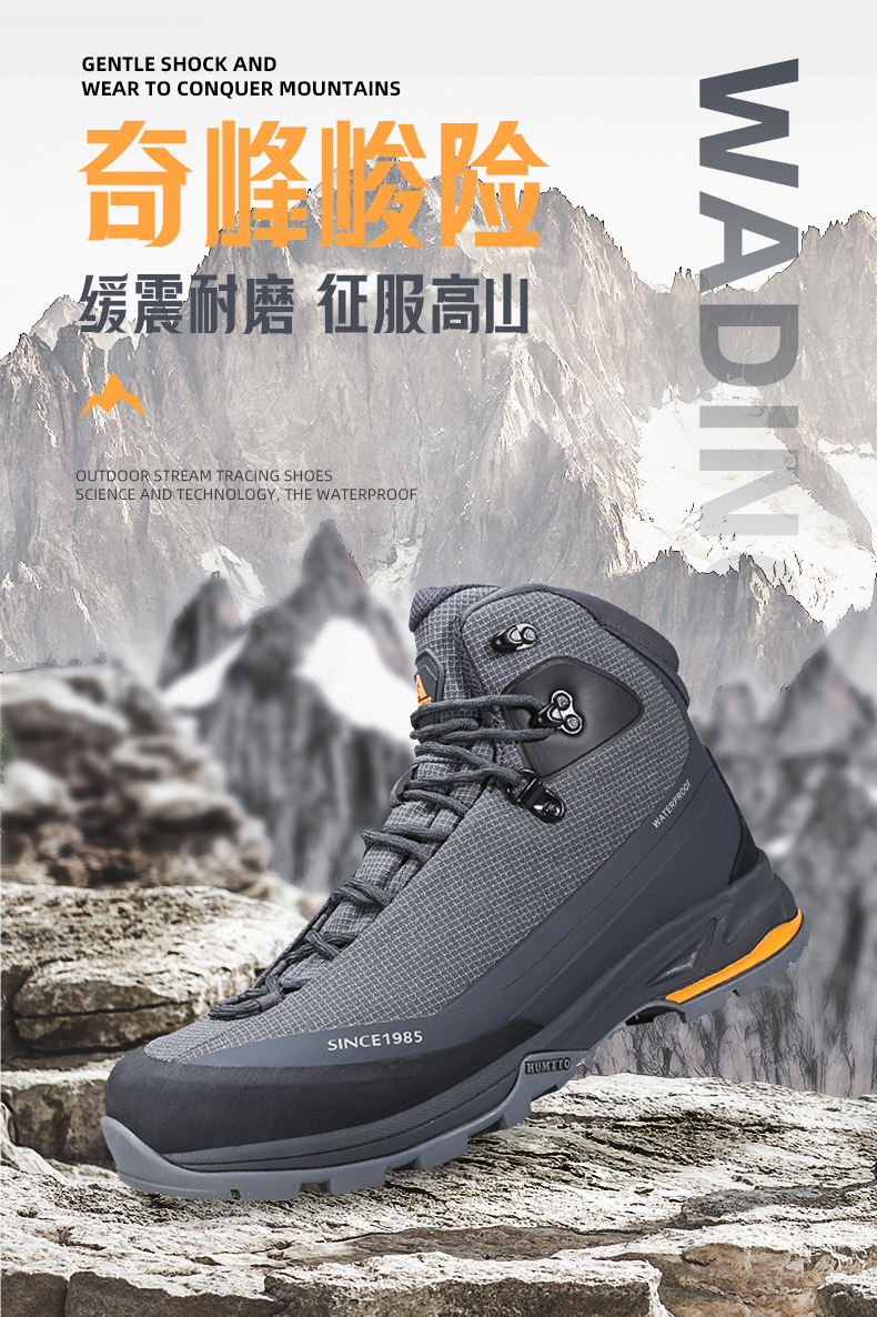 详情-01