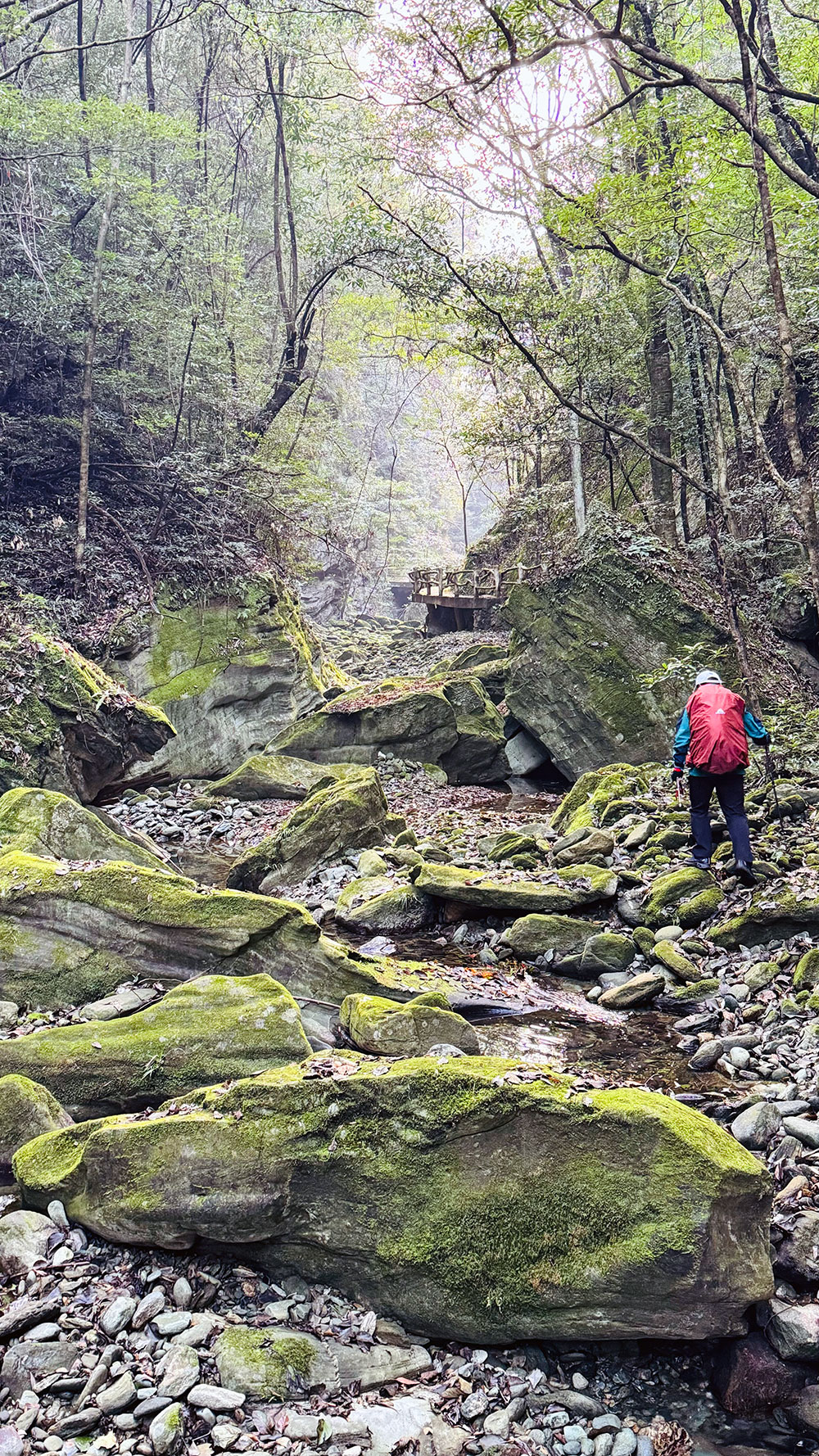 武当山911 武当山911