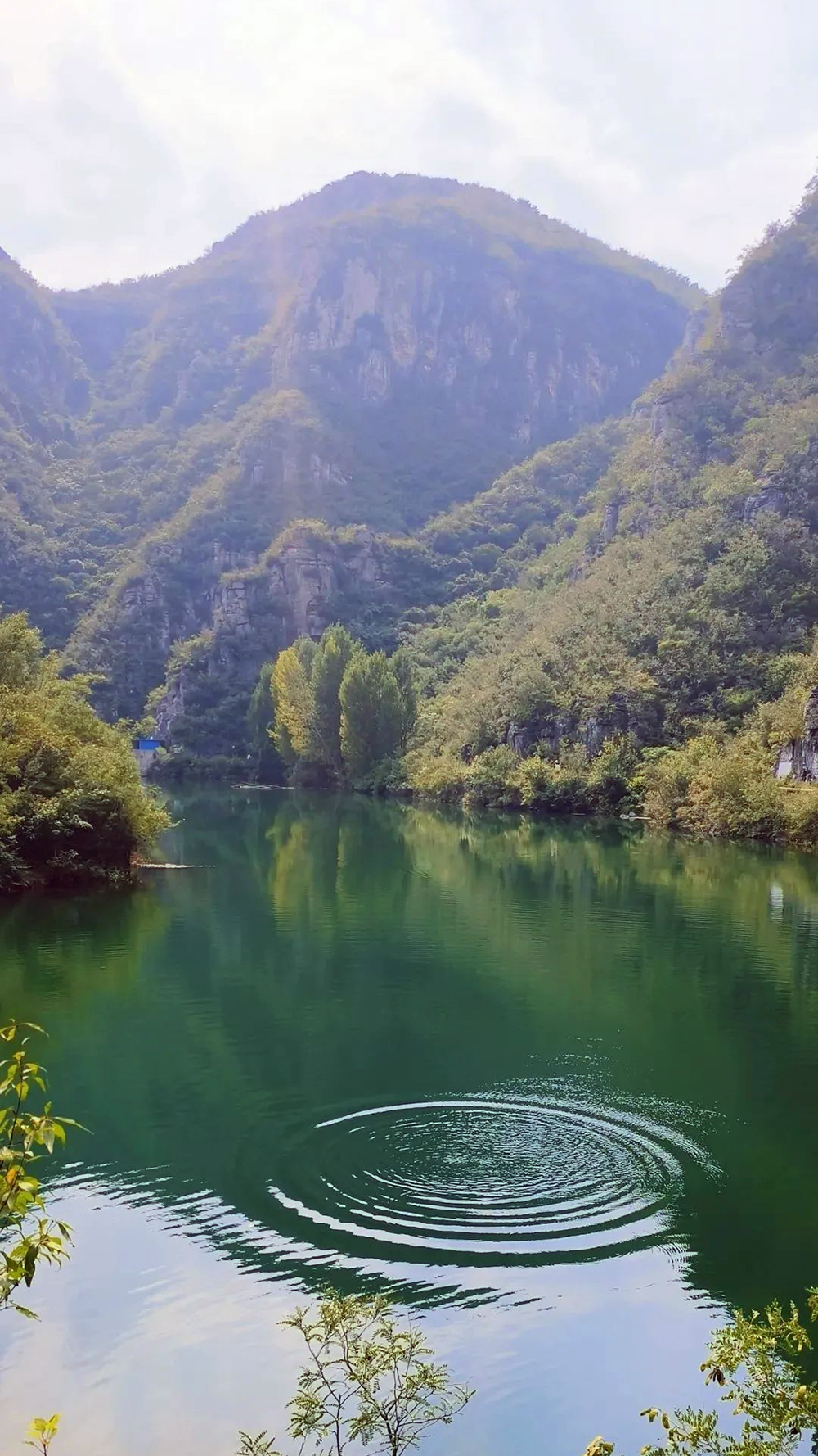 黑鹿河05