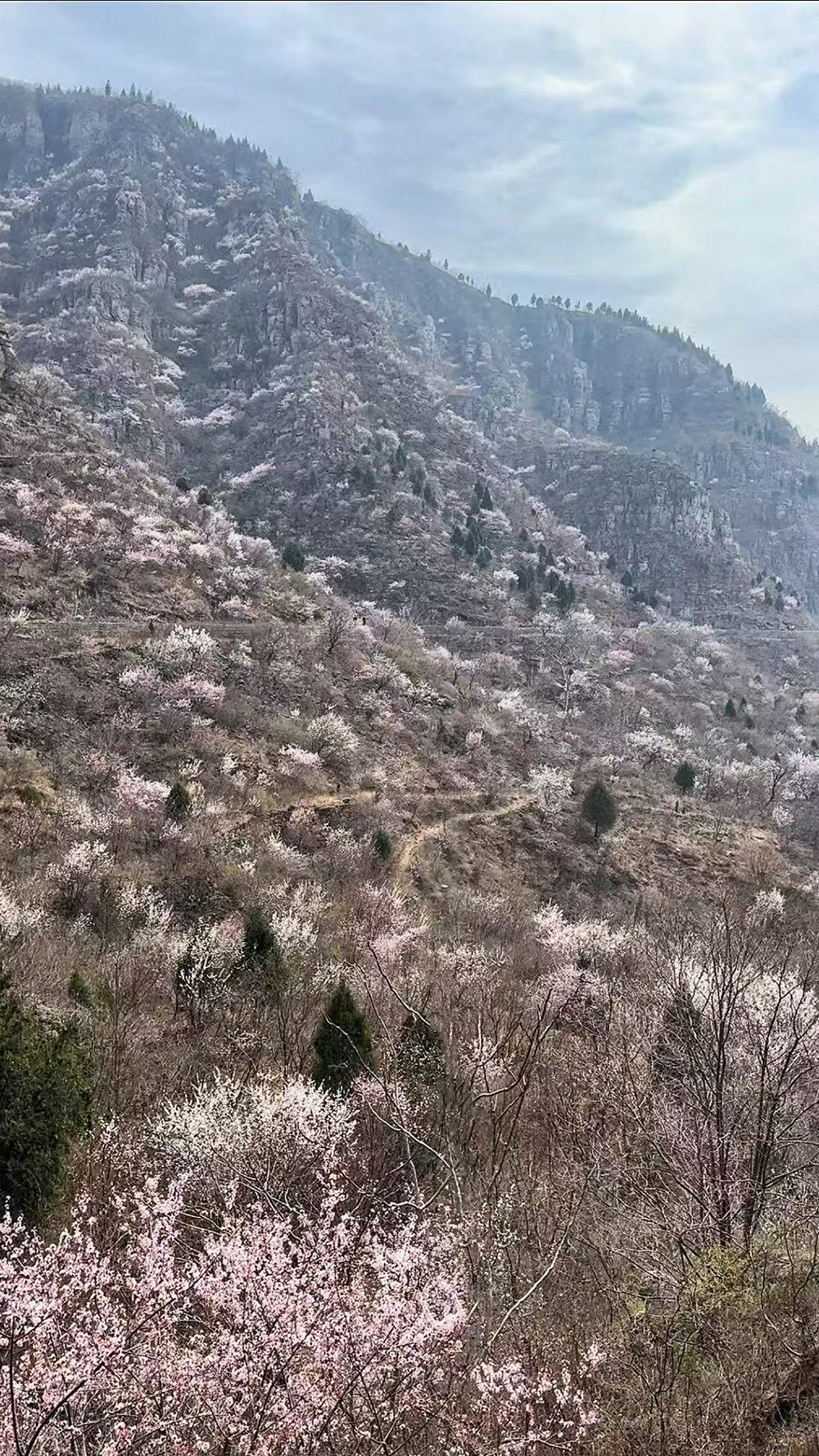 黑鹿河04