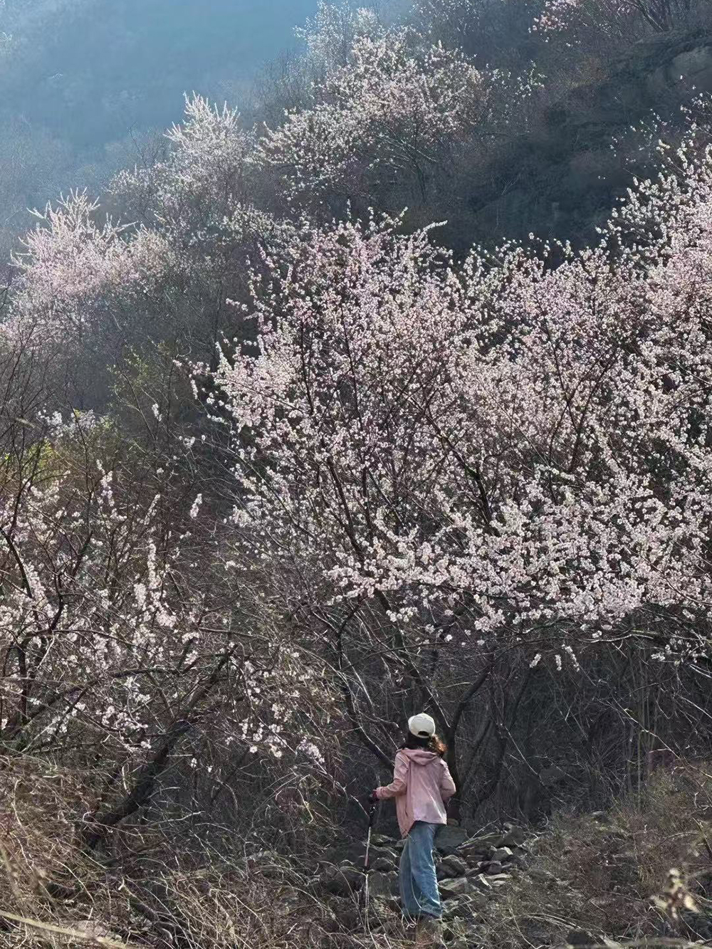 黑鹿河03