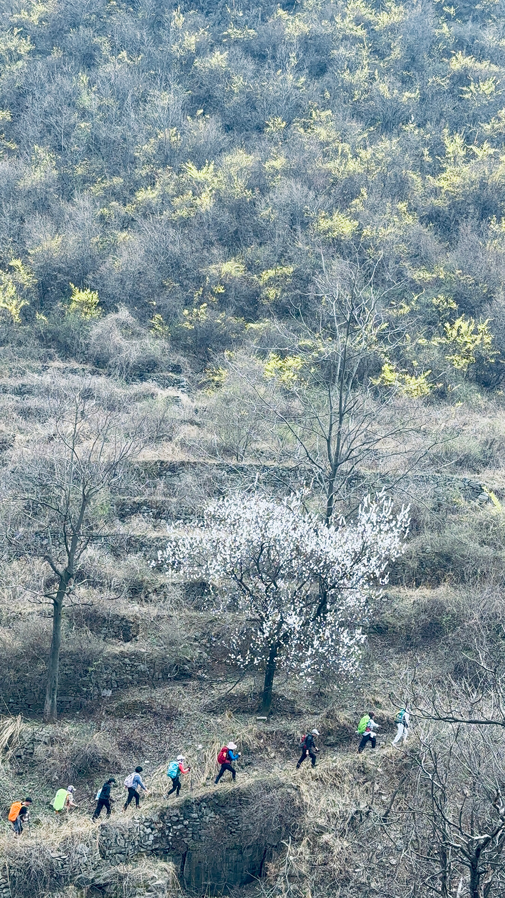 晋豫古道01
