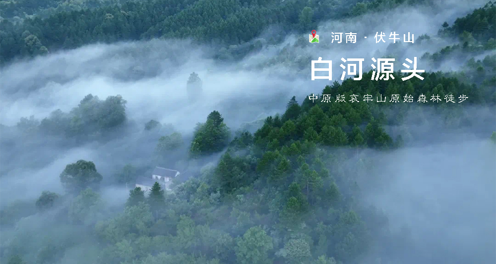 伏牛山04