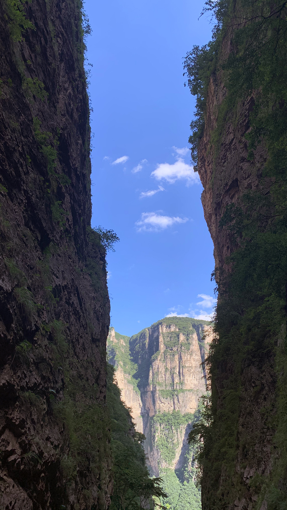 九莲山04 九莲山04