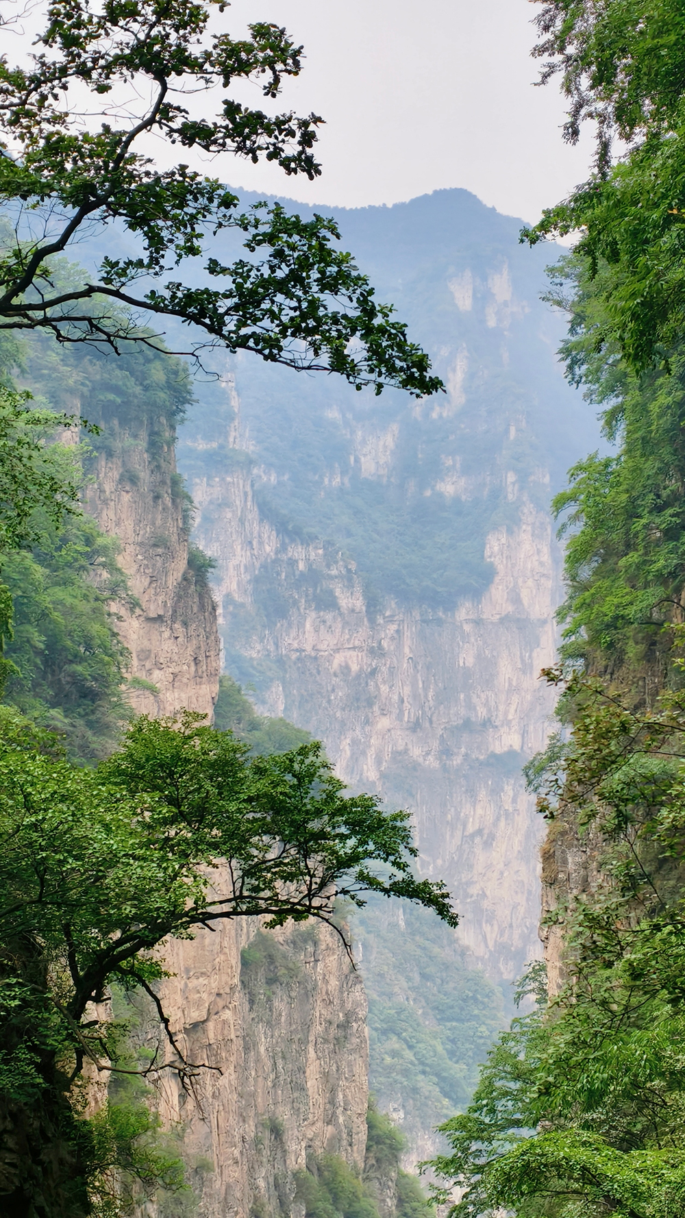 黑缝梯04 黑缝梯04