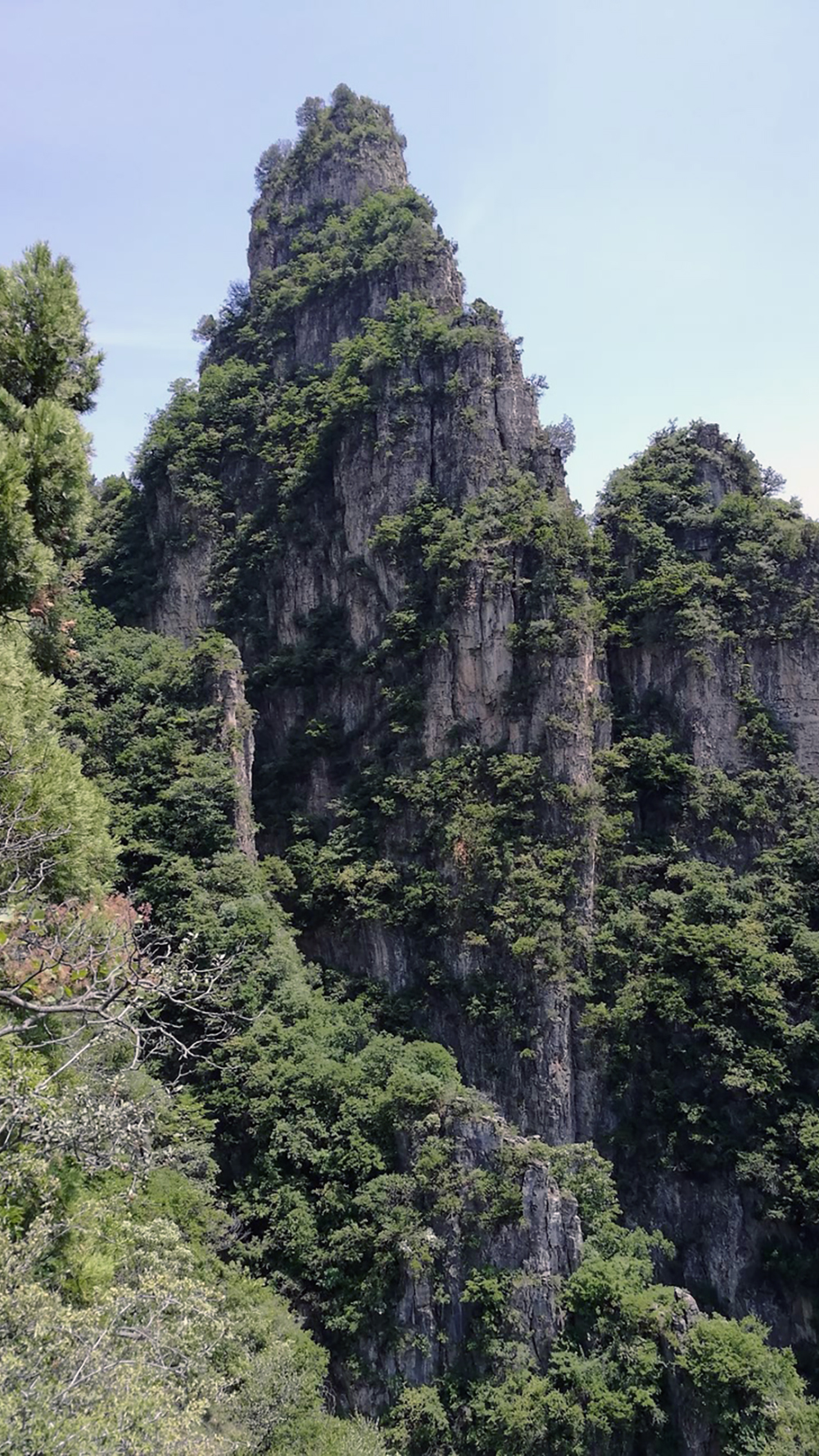 康梯05