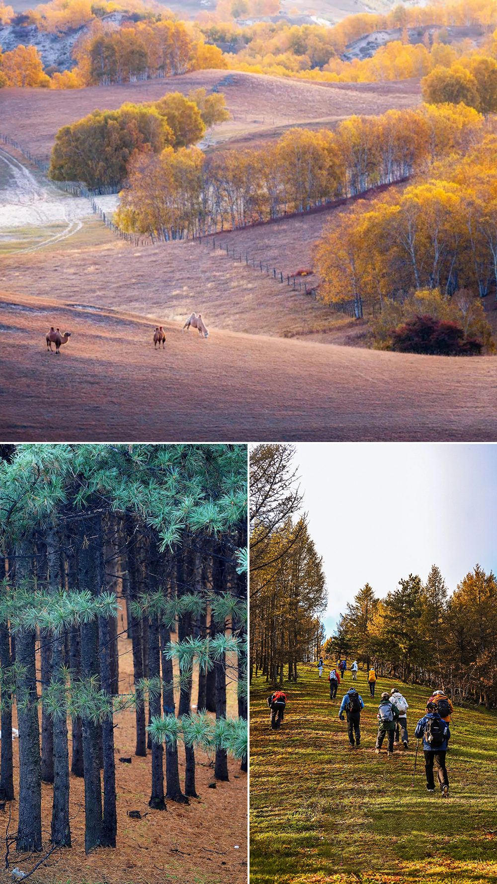 美林谷01 美林谷01