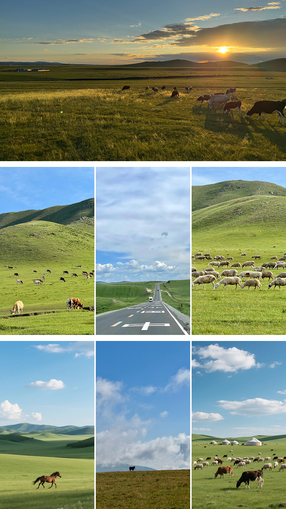 贡格尔草原02 贡格尔草原02