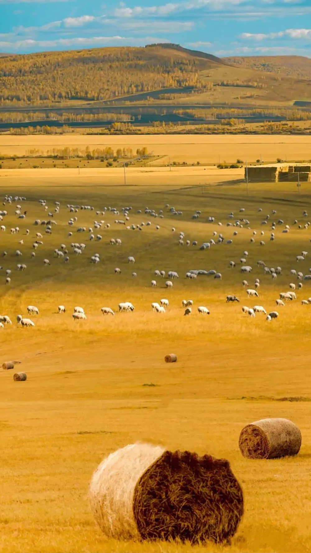 克腾之秋02 克腾之秋02