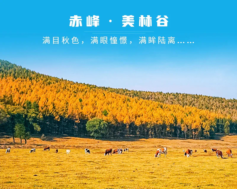 美林谷02 美林谷02