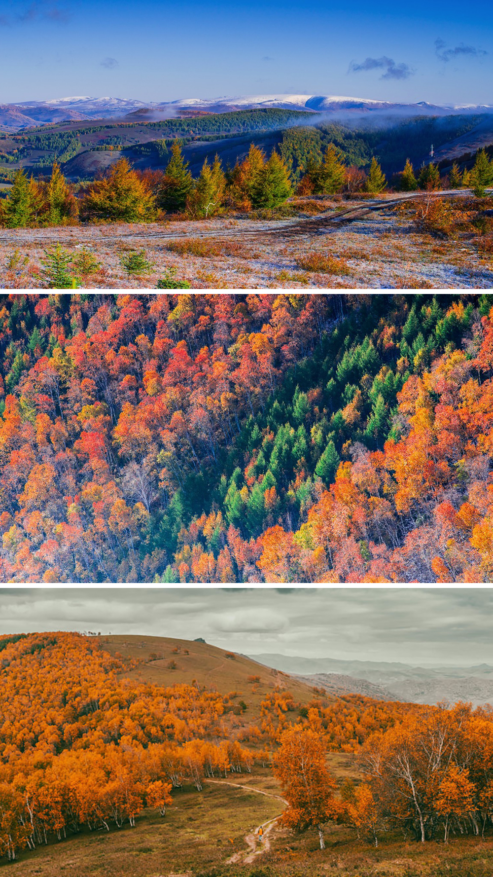 黄岗梁02 黄岗梁02