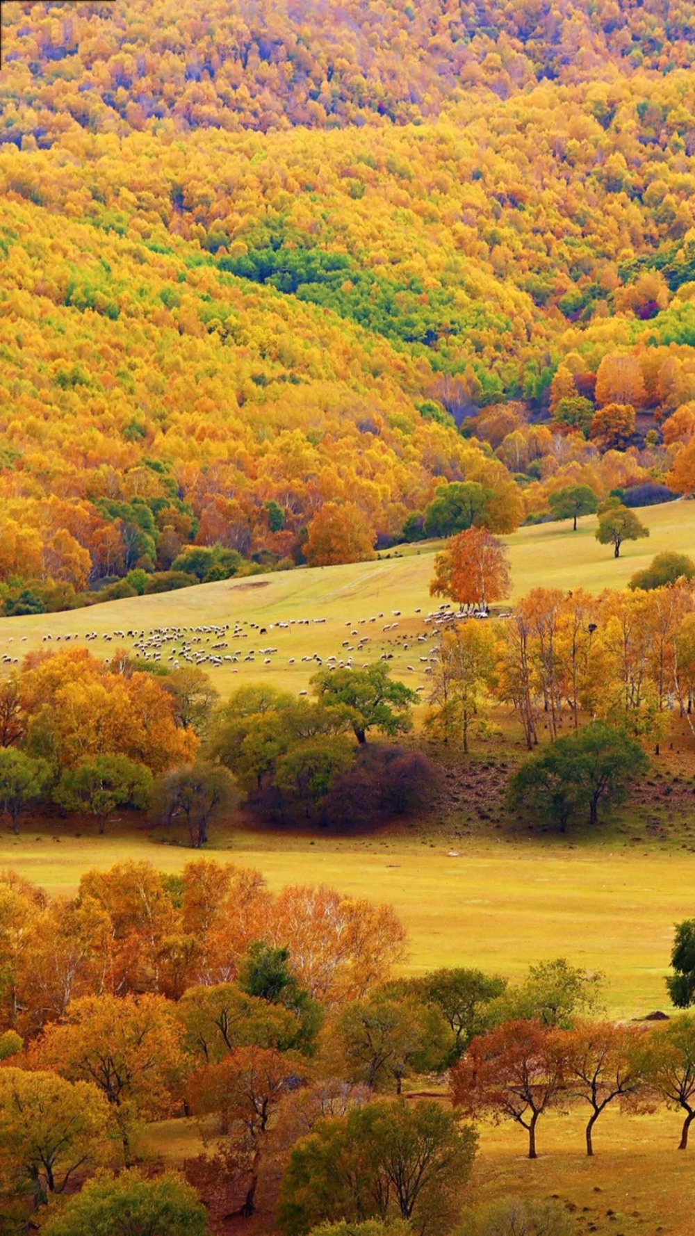 克腾之秋01 克腾之秋01