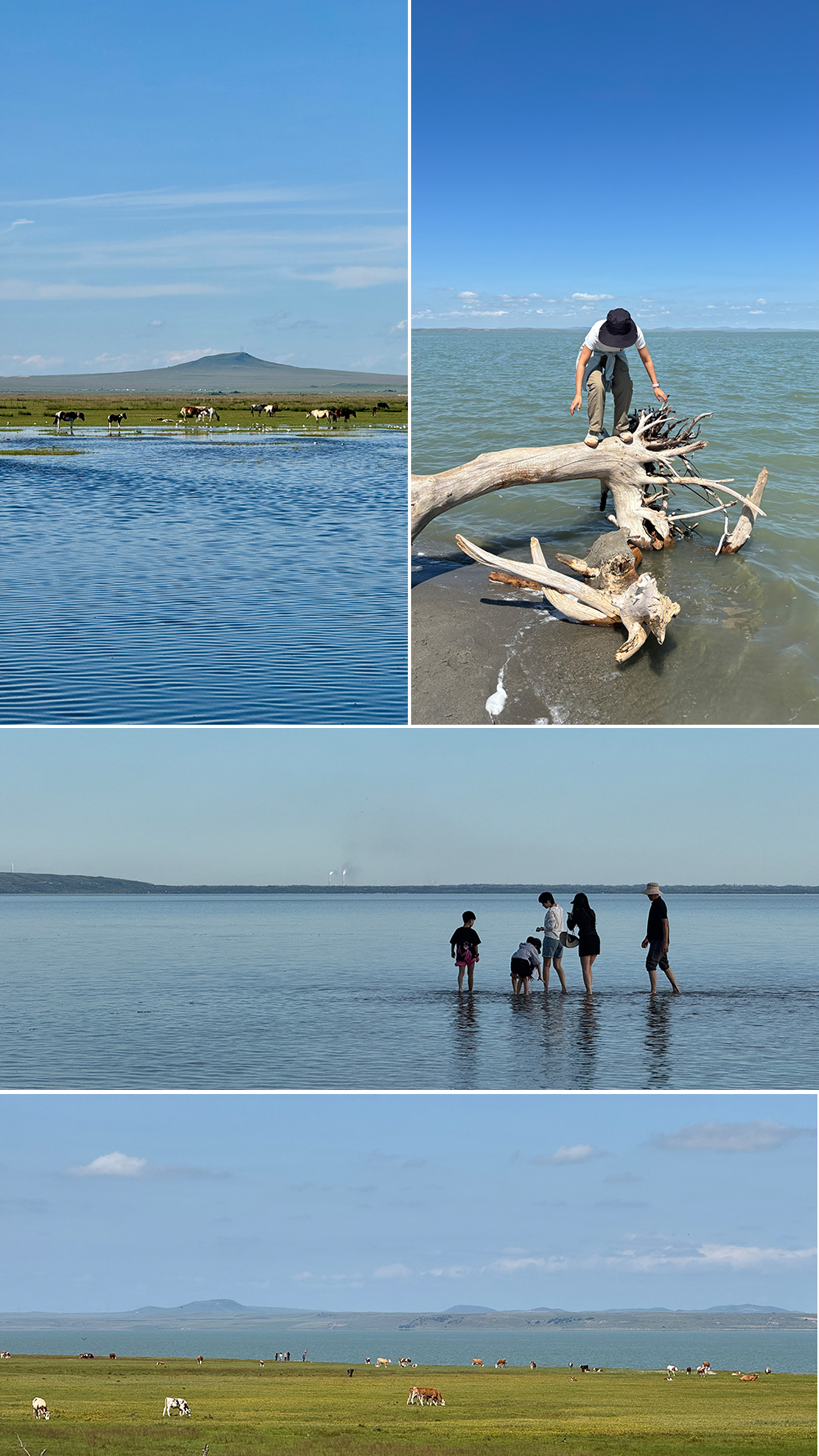 达里湖01 达里湖01