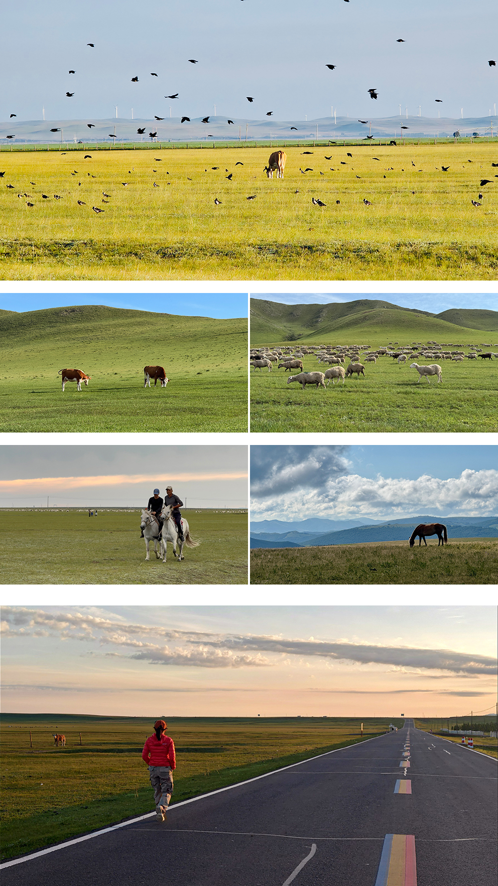 贡格尔草原01 贡格尔草原01