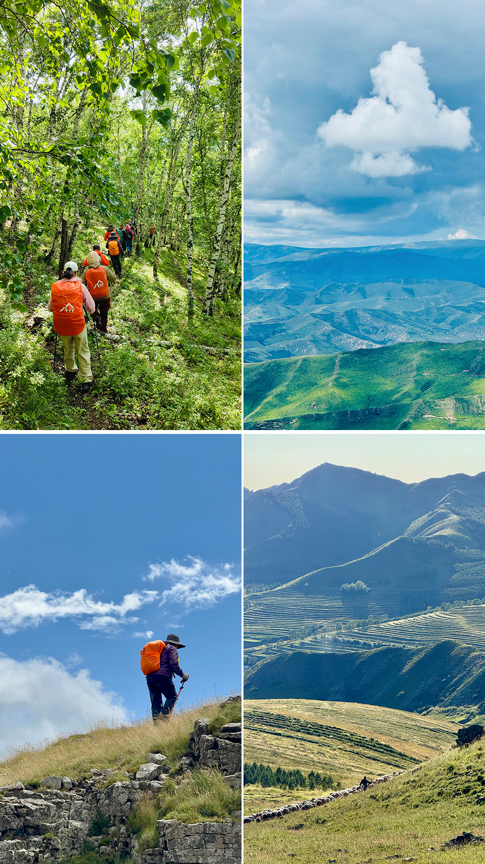 802高地01 802高地01