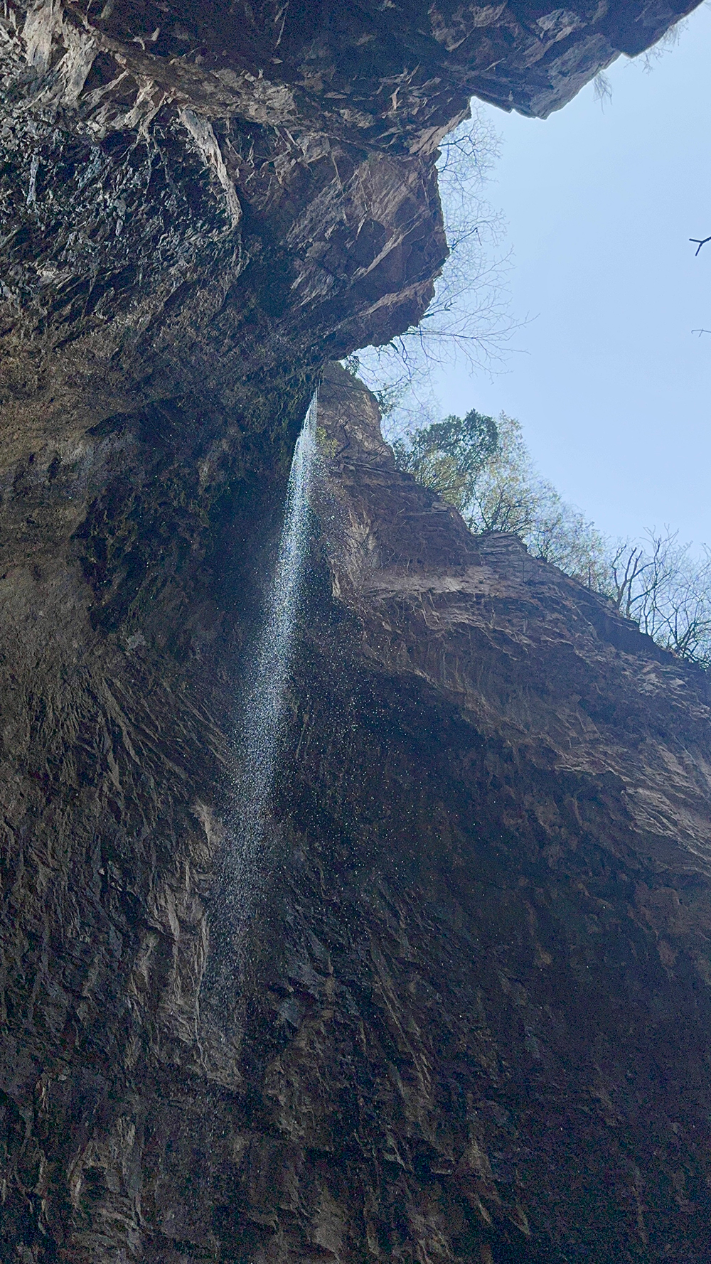 滴水盆01 滴水盆01