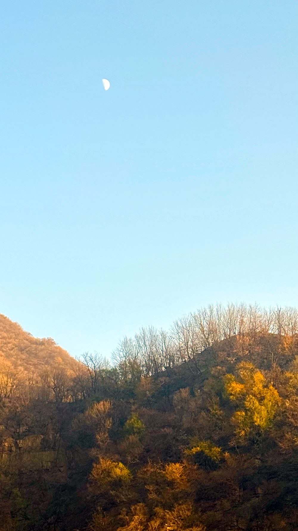 水洪池02 水洪池02