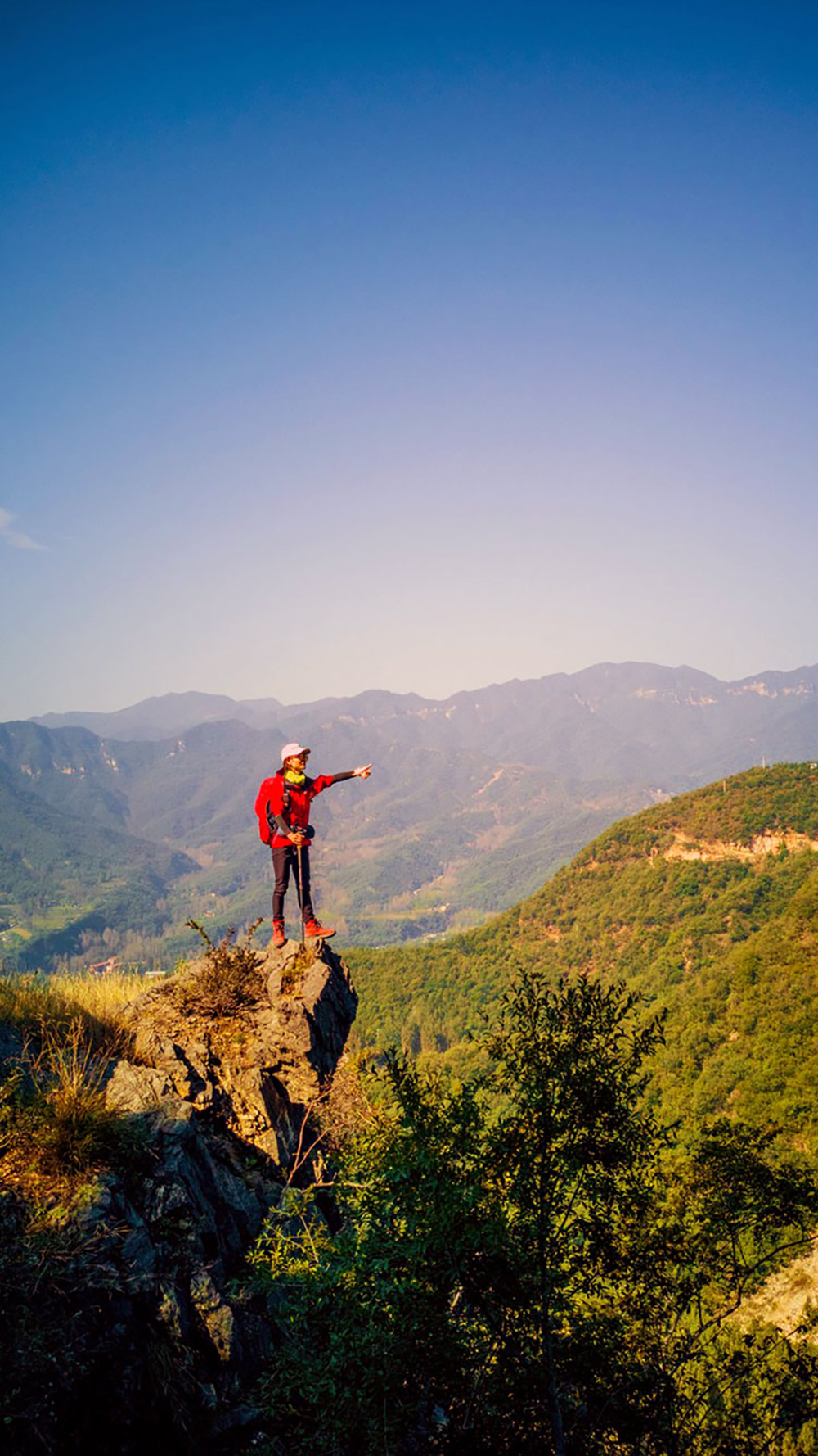 金炉顶02 金炉顶02
