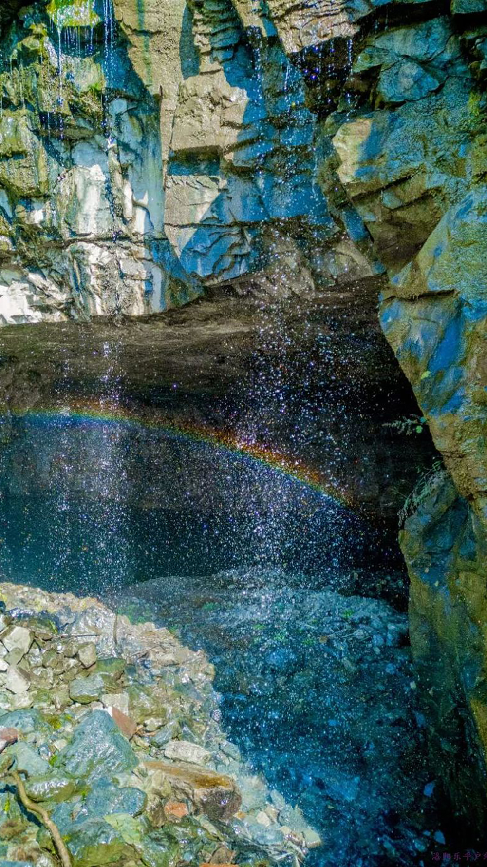 金炉顶04 金炉顶04