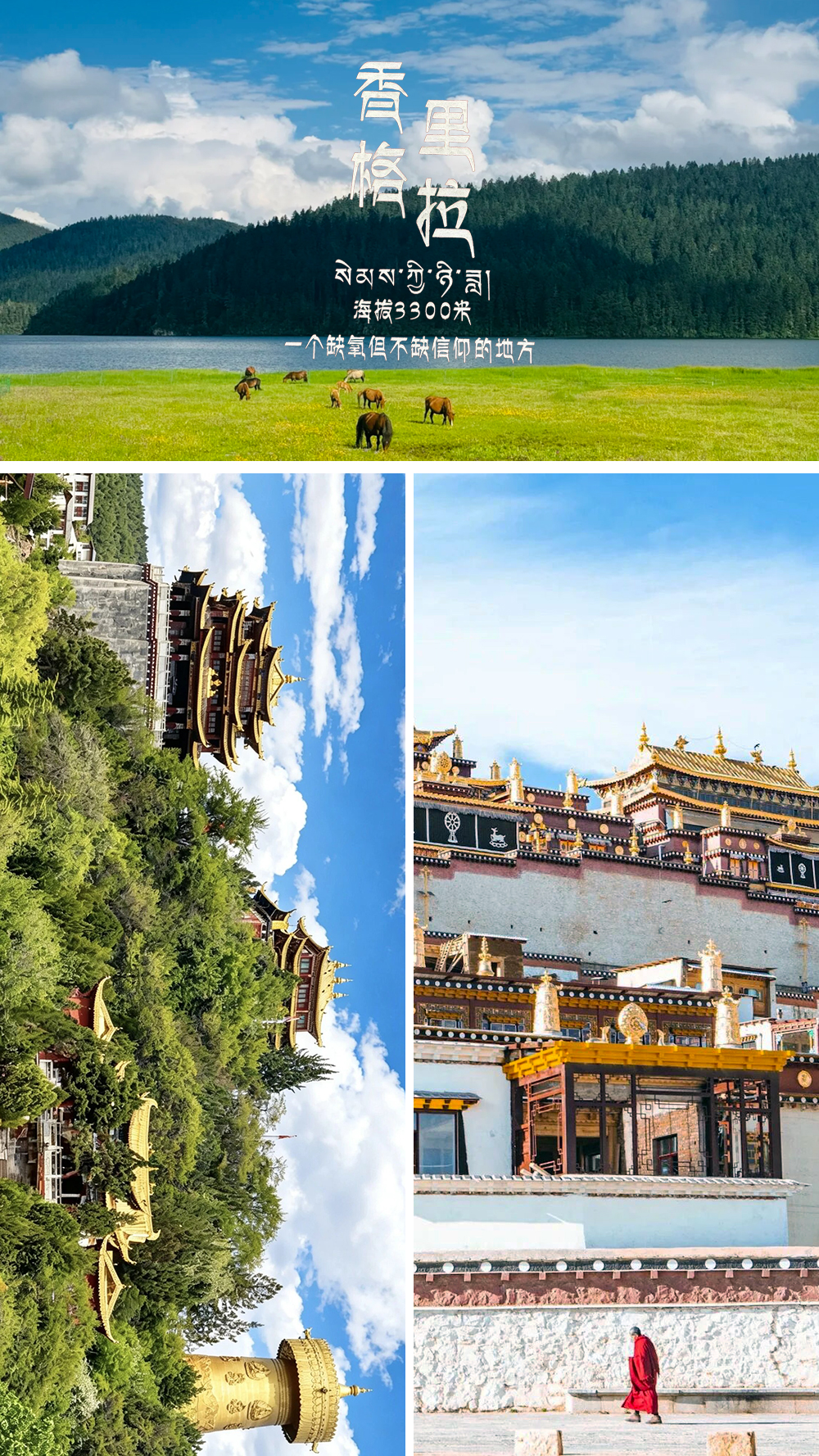 香格里拉01