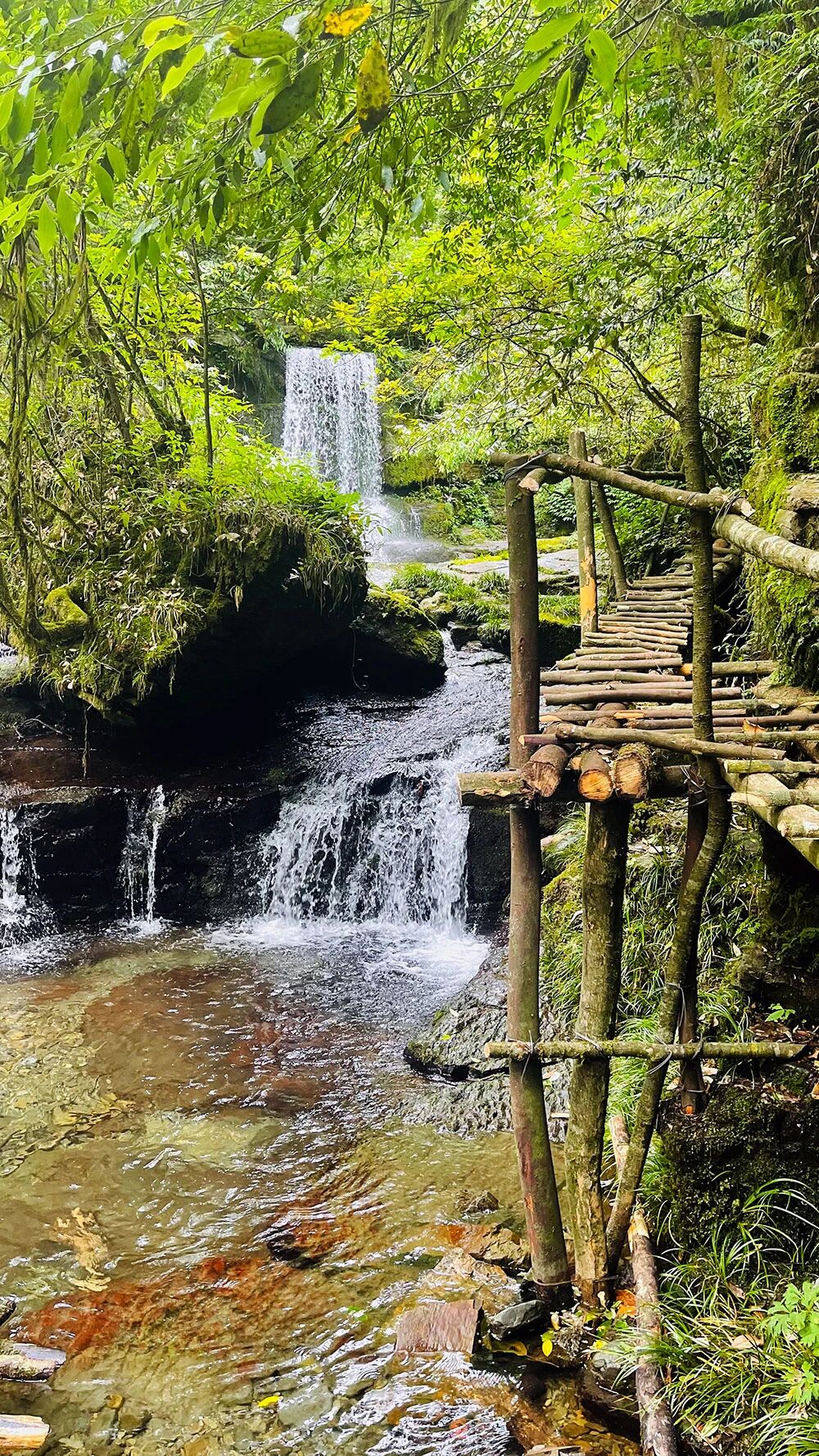 天目湾02 天目湾02