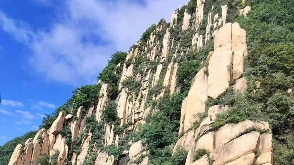 莲花山01