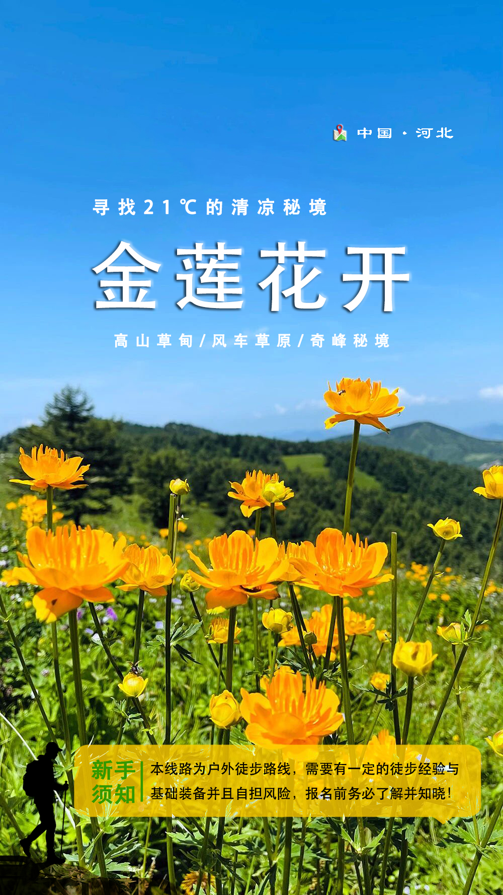 金莲花开01
